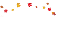 fall leaves flying in the air on a black background